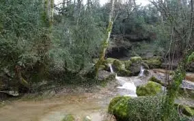 Ruisseau de la Chaume