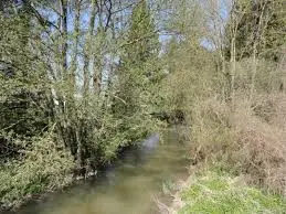 Ruisseau de Vertus