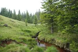 Ruisseau de Parisot