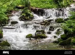 Ruisseau des Faigués