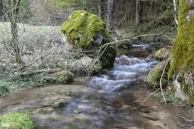 Ruisseau de Saint-Pierre