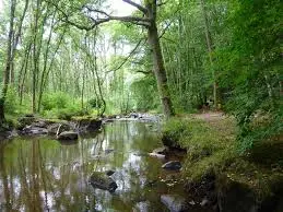 Ruisseau de Bourdariès