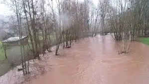 Ruisseau de Puechassaut