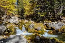 Plan d'eau de la Cahuzière