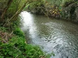 Ruisseau de la Gimbrarié