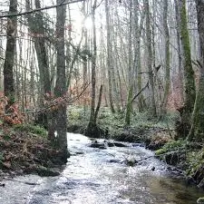 Ruisseau de Ramières