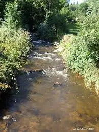 Ruisseau des Roucarels