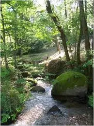 Lac de Bouyssou