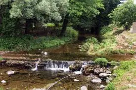 Ruisseau de Garnabach