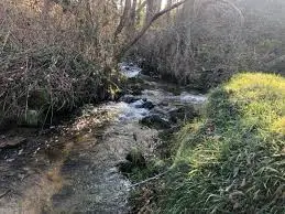 Ruisseau de la Gleyo