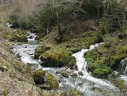 Ruisseau des Marsales