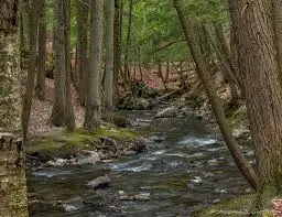 Ruisseau du Pont de Tuile