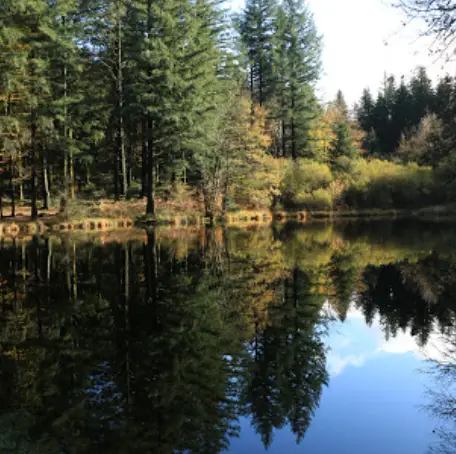 Les Bassins de Roudille