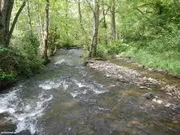 Ruisseau de Montaud