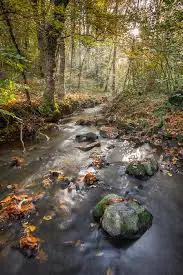 Ruisseau de la Boule Blanche