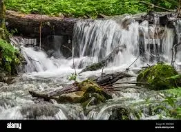 Ruisseau de Malcoustat