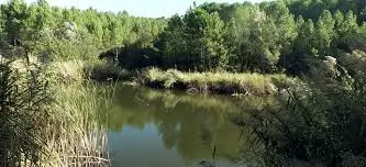 Lac de Camp Bourjas