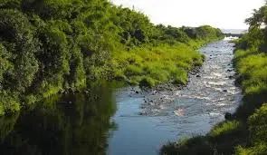 Ruisseau de Bornant
