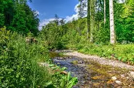 Ruisseau du Bouillon