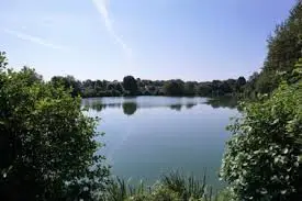 Plan d'eau de la Pinsonnière à Saint Laurent Sur Sèvre