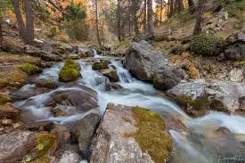 RU de l'Etang de l'Arbre Epine