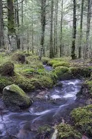 RU de l'Etang Garroy