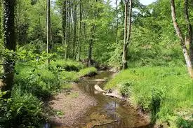 RU de l'Etang des Maux-Cailloux