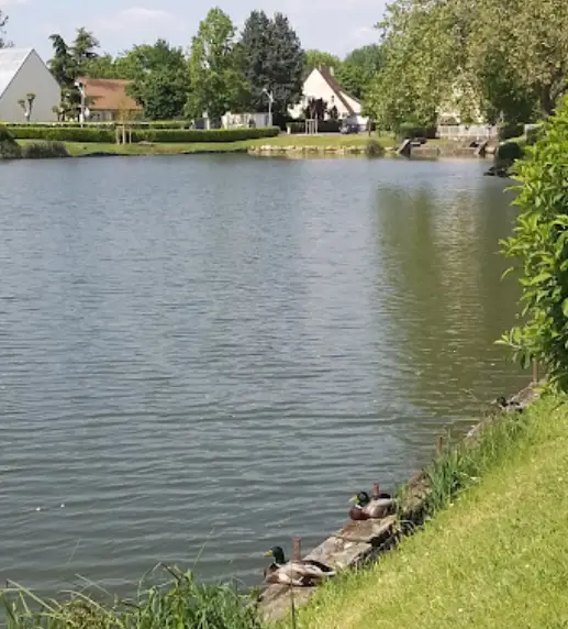 Etang de Port-Sud