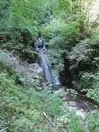 Font Bergère