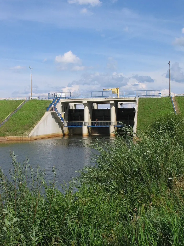 Rzeka Narew nr. 1