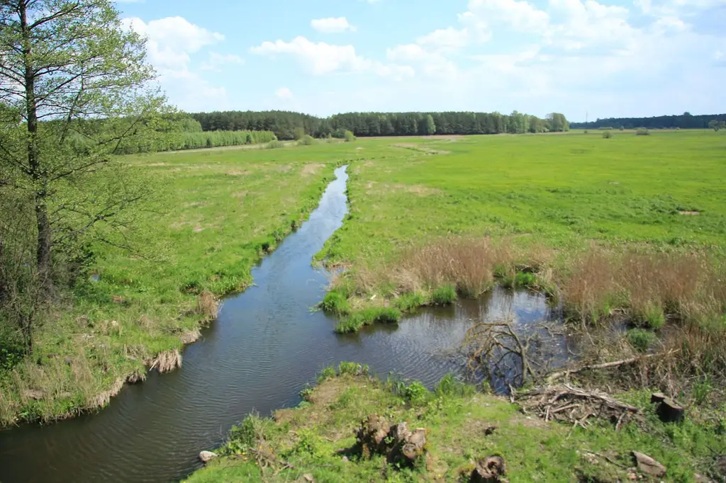 Rzeka Turośnianka