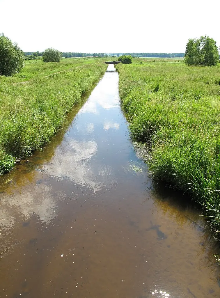 Rzeka Nereśl