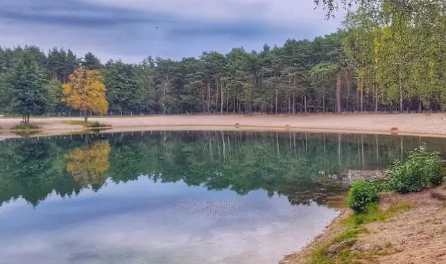 Żwirownia Rokitki Południowe