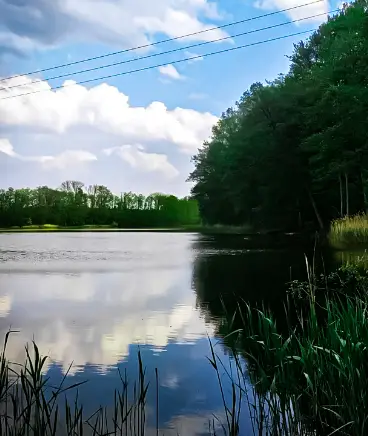 Jezioro Budzieszowskie
