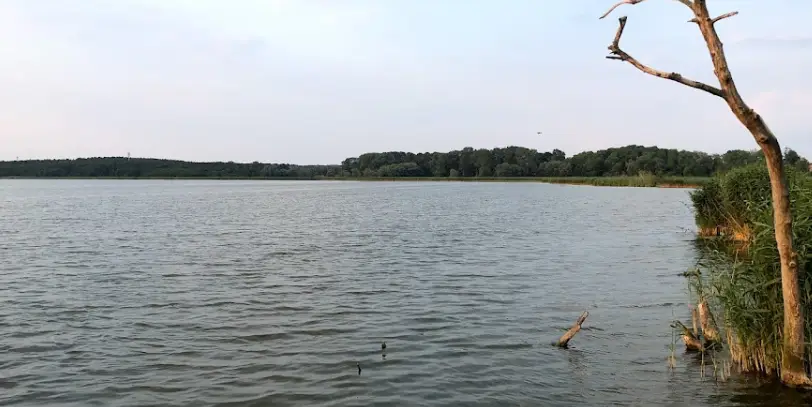 Jezioro Liwia Łuża