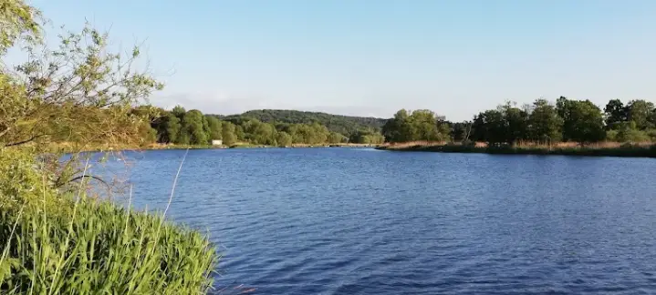 Rzeka Odra Wschodnia Kanał Cegielinka 001