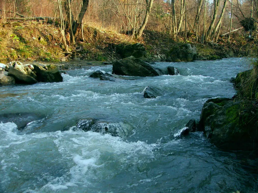 Rzeka Grajcarek