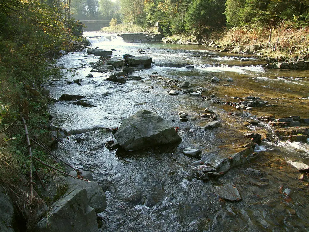 Rzeka Kamienica Łącka