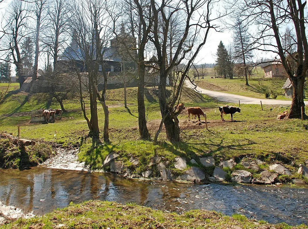 Rzeka Zdynianka