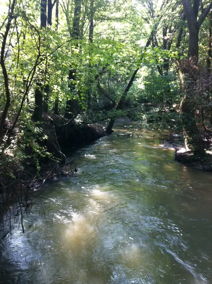 Râul Ilfov