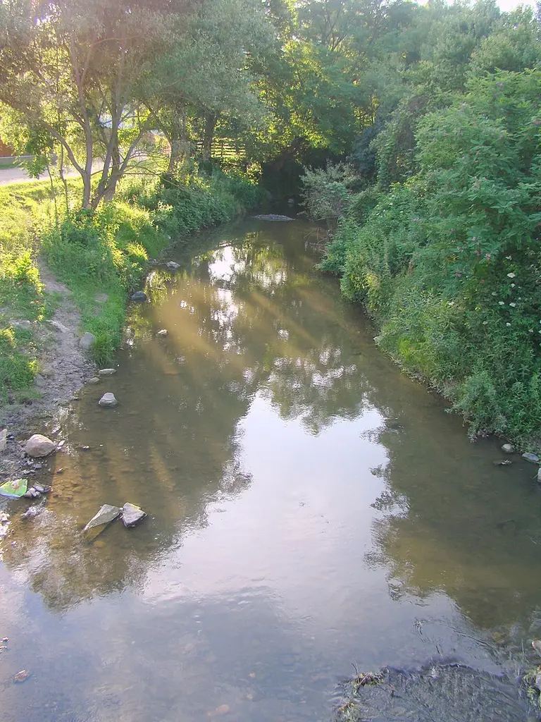 Râul Homorod Mic