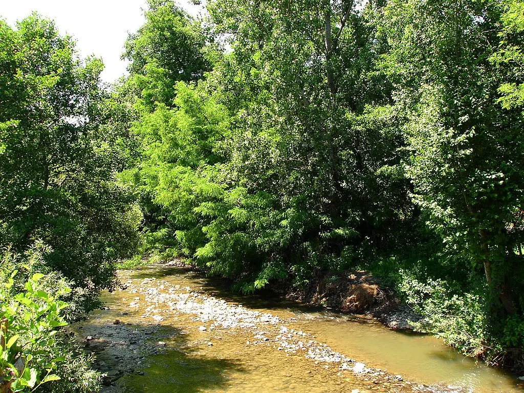 Râul Bloaja