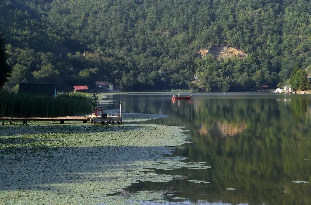 Medjuvršje