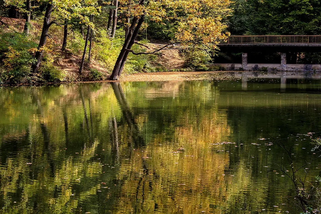 Trešnja Jezero