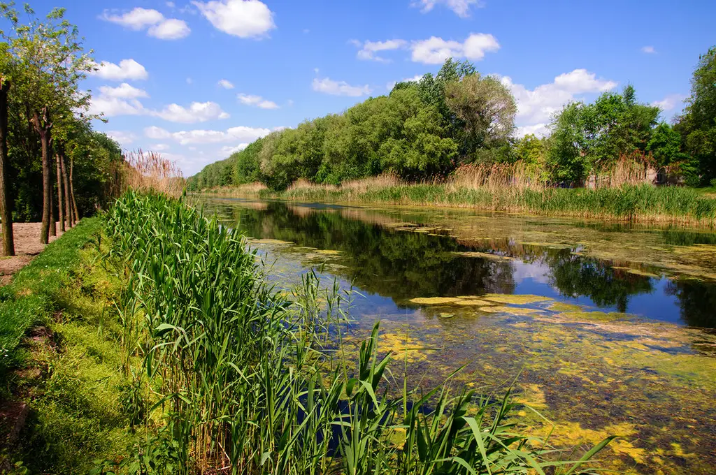 Veliki Bački Kanal