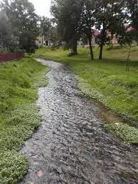 Slavkovský potok (Sabinov)