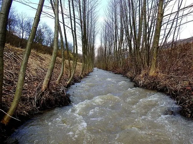 Potok Chocholnica