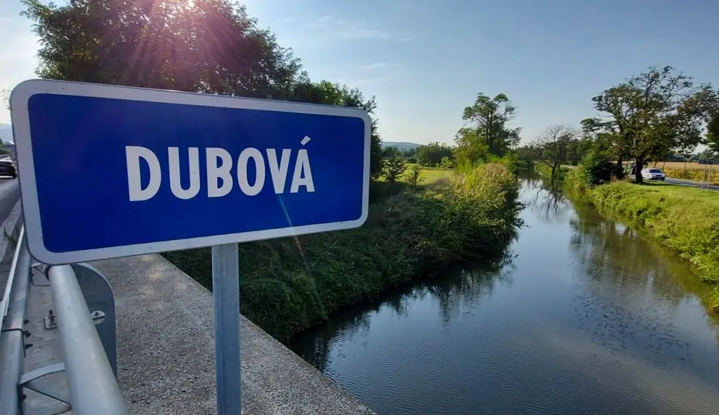 Dubová