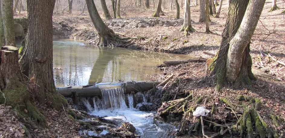 Lozorňanský potok