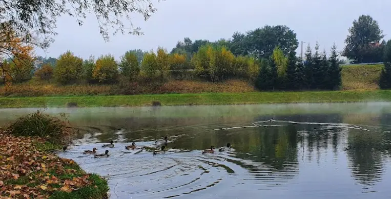 Materialová jama Celulózka